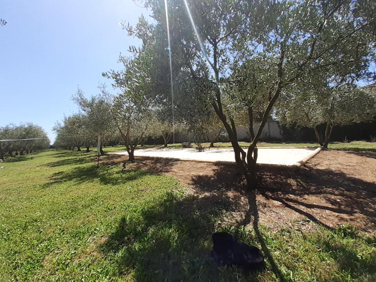 Privatunterkunft La Clastre Location D'un Avec Piscine Et Clim Pres D'uzes
