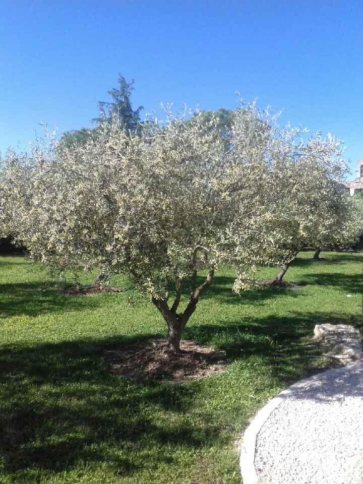La Clastre Location D'un Avec Piscine Et Clim Pres D'uzes Privatunterkunft *